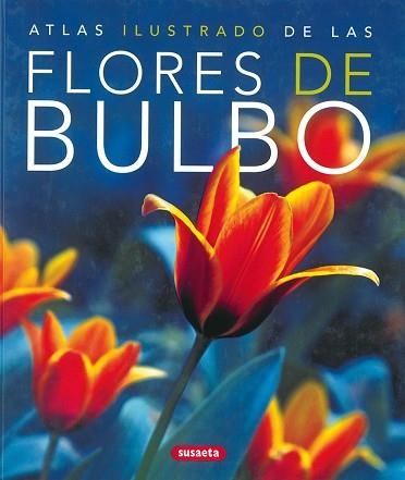 FLORES DE BULBO | 9788430570324 | AA.VV. | Llibreria Aqualata | Comprar llibres en català i castellà online | Comprar llibres Igualada