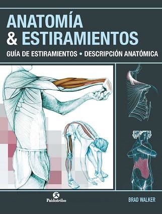 ANATOMIA & ESTIRAMIENTOS | 9788499100012 | WALKER, BRAD | Llibreria Aqualata | Comprar llibres en català i castellà online | Comprar llibres Igualada