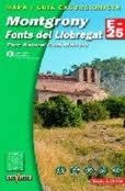 MONTGRONY FONTS DEL LLOBREGAT | 9788480903455 | LLOPIS LLADÓ, NOËL | Llibreria Aqualata | Comprar llibres en català i castellà online | Comprar llibres Igualada